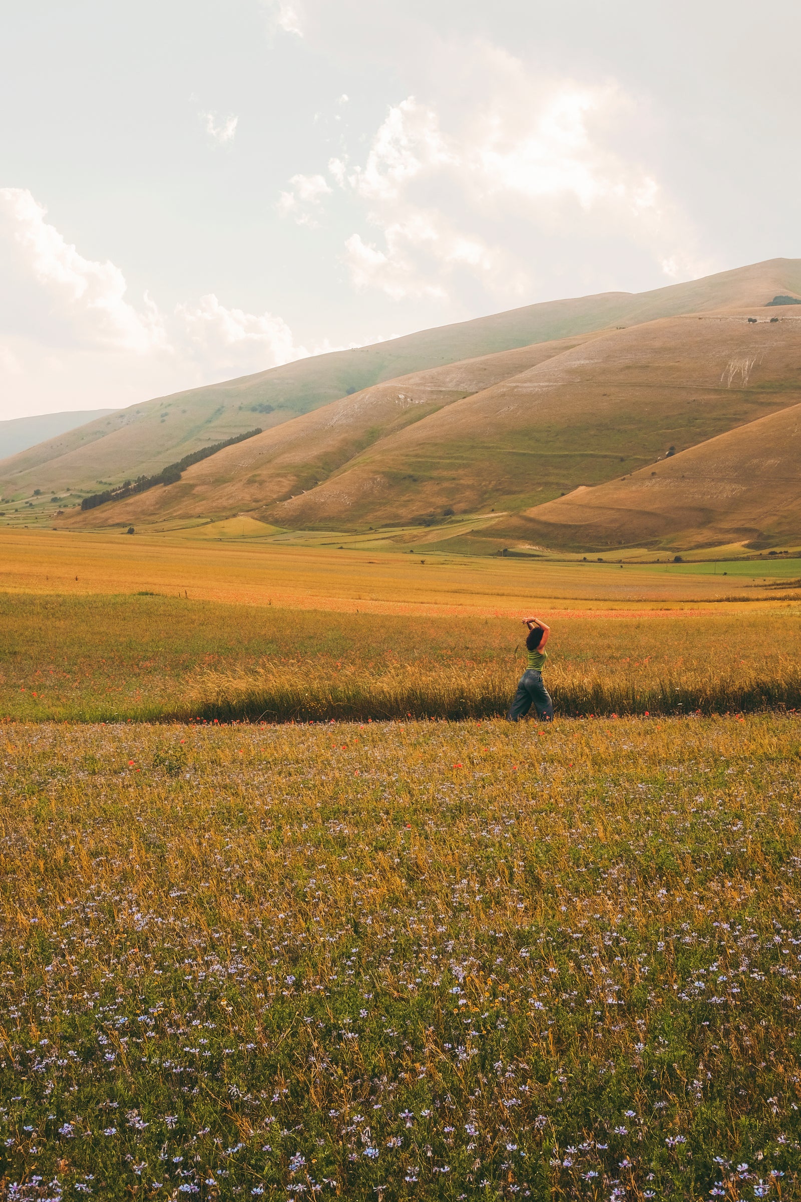Open field